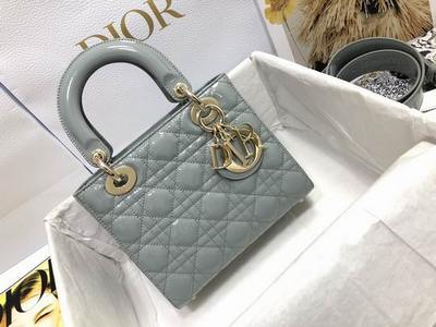 DIOR Handbags 835